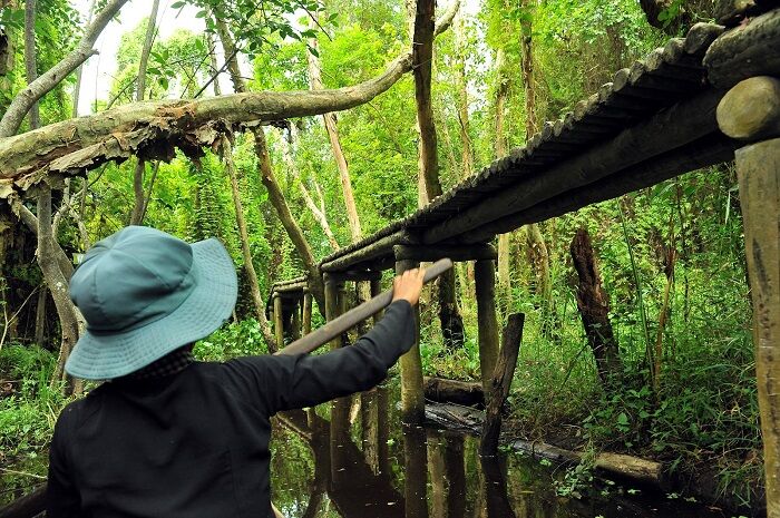 Begin your Dong Thap Tours with a scenic adventure